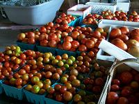 tomatoes